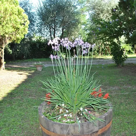 La Nicchia Farm stay Castelnuovo Berardenga
