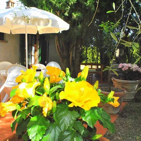 Farm stay La Nicchia Castelnuovo Berardenga