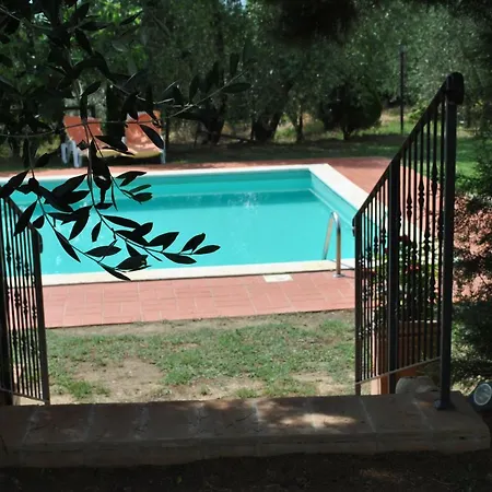 La Nicchia *