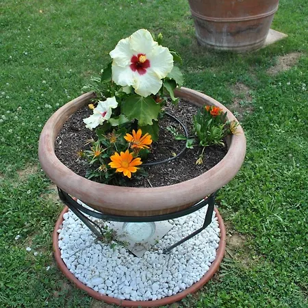 La Nicchia Farm stay Castelnuovo Berardenga