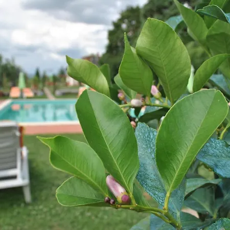 La Nicchia Farm stay Castelnuovo Berardenga