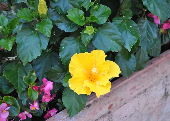 La Nicchia Farmház Castelnuovo Berardenga