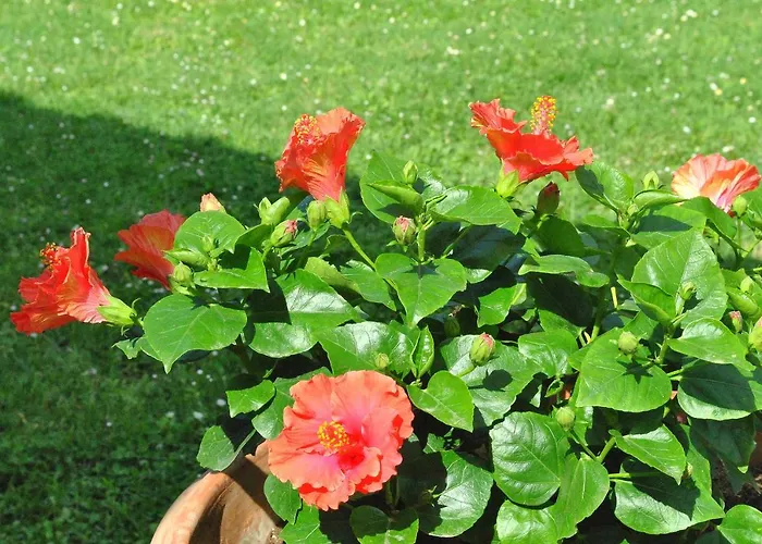 Farmház La Nicchia *