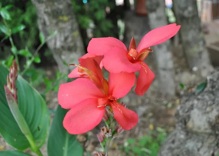 La Nicchia Castelnuovo Berardenga