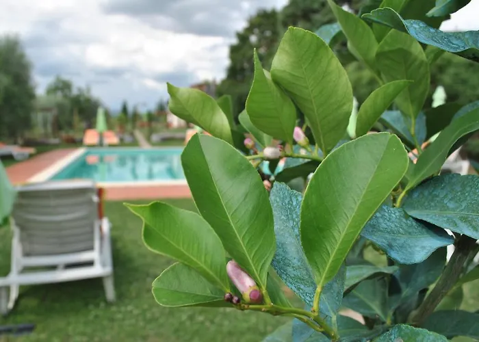 La Nicchia Farmház Castelnuovo Berardenga